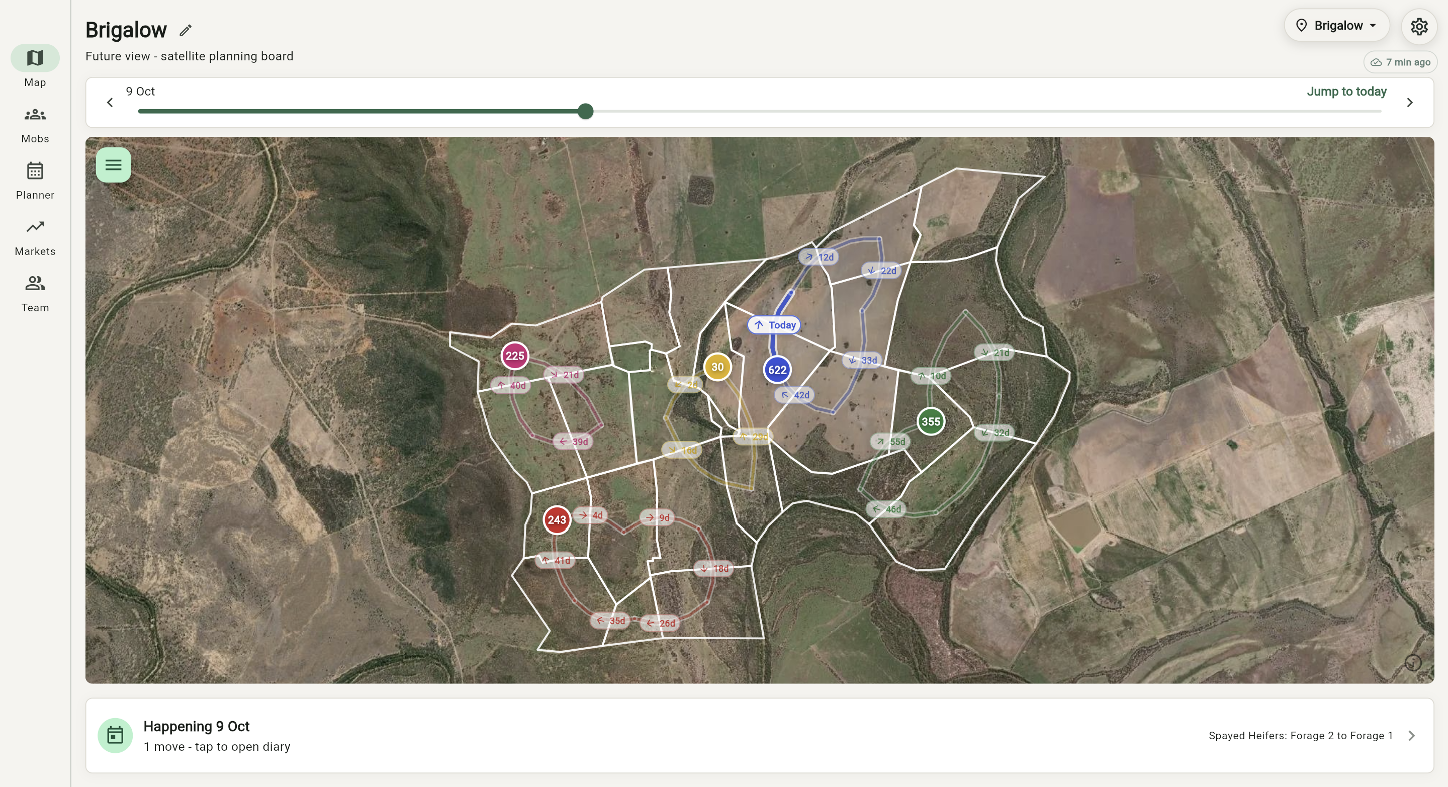 Grazer future map showing planned cattle moves across paddocks